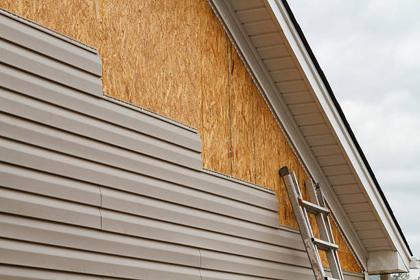 Professional Siding Repair technician working in Kenmore, WA